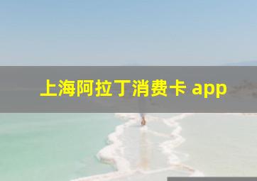 上海阿拉丁消费卡 app